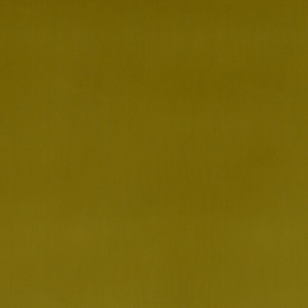 Montpellier Velvet Moss by Baker Lifestyle Designer Fabric CARNIVAL POLYESTER - 100% China HEAVY Horizontal: - and Vertical: - 55.16 - Swanky Fabrics -