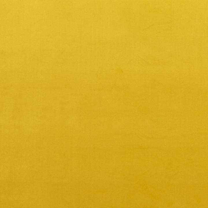 Montpellier Velvet Ochre by Baker Lifestyle Designer Fabric CARNIVAL POLYESTER - 100% China HEAVY Horizontal: and Vertical: 55.16 - Swanky Fabrics -