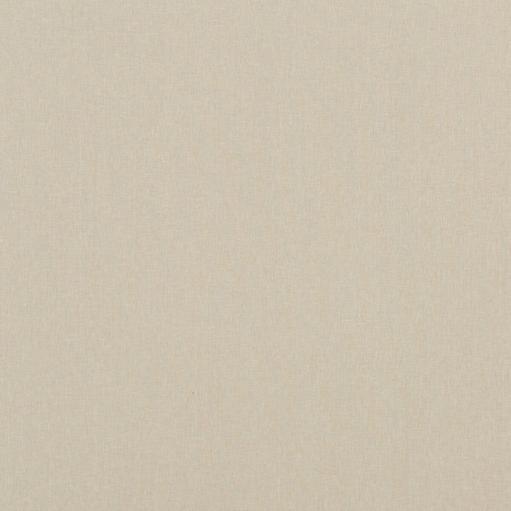 Carnival Plain Oatmeal by Baker Lifestyle Fabric Baker Lifestyle Fabric Carnival Plain OatmealFabric CARNIVAL POLYESTER - 54%;COTTON - 46% India </p><p>Repeat: H: , V: 55.16 - Fabric Carolina -