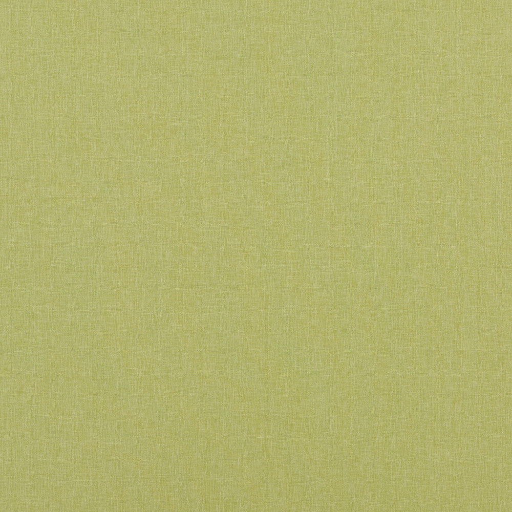Carnival Plain Lime by Baker Lifestyle Fabric Baker Lifestyle Fabric Carnival Plain LimeFabric CARNIVAL POLYESTER - 54%;COTTON - 46% India </p><p>Repeat: H: , V: 55.16 - Fabric Carolina -