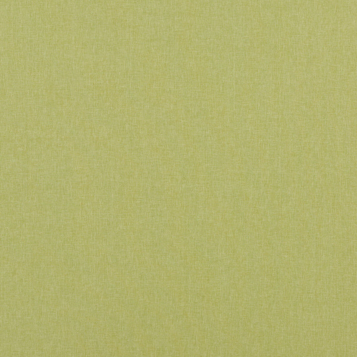 Carnival Plain Lime by Baker Lifestyle Fabric Baker Lifestyle Fabric Carnival Plain LimeFabric CARNIVAL POLYESTER - 54%;COTTON - 46% India </p><p>Repeat: H: , V: 55.16 - Fabric Carolina -