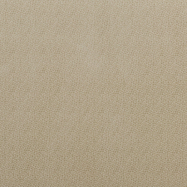 Salsa Spot Parchment by Baker Lifestyle Designer Fabric CARNIVAL VISCOSE - 75%;POLYESTER - 25% Belgium HEAVY Horizontal: 2.758 and Vertical: 3.546 53.978 - Swanky Fabrics -