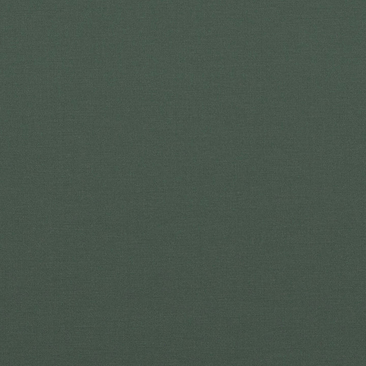 Pavilion Spruce by Baker Lifestyle Fabric Baker Lifestyle Fabric Pavilion SpruceFabric PAVILION - BLEGRAVE NOTEBOOK COTTON - 65%;POLYESTER - 35% Turkey </p><p>Repeat: H: , V: 58.04408 - Fabric Carolina -