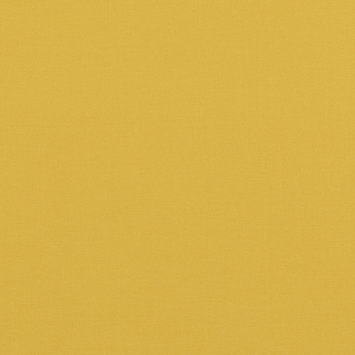 Pavilion Yellow by Baker Lifestyle Fabric Baker Lifestyle Fabric Pavilion YellowFabric PAVILION - BLEGRAVE NOTEBOOK COTTON - 65%;POLYESTER - 35% Turkey </p><p>Repeat: H: , V: 58.04408 - Fabric Carolina -