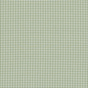 Baker Lifestyle Fabric Sherborne Gingham Green