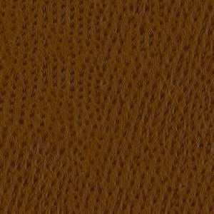 ABBEYSHEA Fabric Phoenix 010 Outback