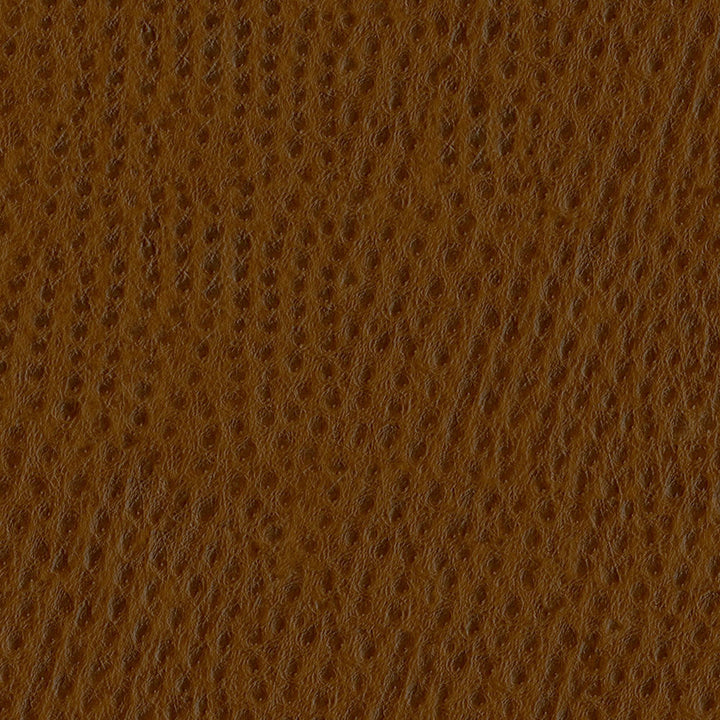 Phoenix 010 Outback by ABBEYSHEA Designer Fabric 100% Polyvinyl Chloride (PVC) US 250,000 Double Rubs (Wyzenbeek) </p><p>Repeat: Horizontal: and Vertical: 54" (137 cm) - Swanky Fabrics -