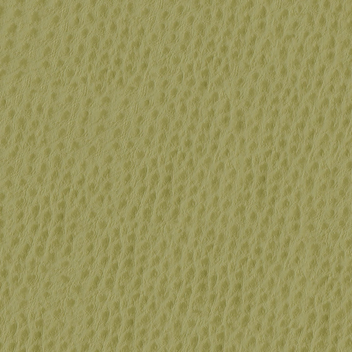 Phoenix 013 Willow by ABBEYSHEA Designer Fabric 100% Polyvinyl Chloride (PVC) US 250,000 Double Rubs (Wyzenbeek) </p><p>Repeat: Horizontal: and Vertical: 54" (137 cm) - Swanky Fabrics -