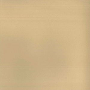 Pinto Camel 14 by Norbar Designer Fabric 100% POLYURETHANE SPAIN 55 - Swanky Fabrics -