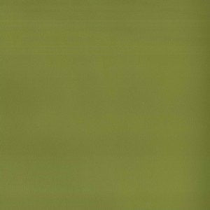 Norbar Fabric Pinto Lime 39