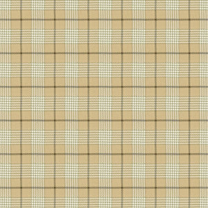 Stout Fabric Pipestone 2 Flax