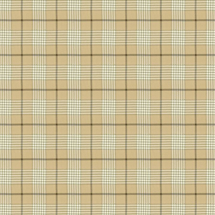 Pipestone 2 Flax by Stout Designer Fabric RAINBOW LIBRARY DRIFTWOOD/HEMP 100%COT INDIA WYZENBEEK 30 000 DOUBLE RUB WEAR TEST (HEAVY DUTY) Horizontal: 4.625 and Vertical: 4.625 54 in - Swanky Fabrics -