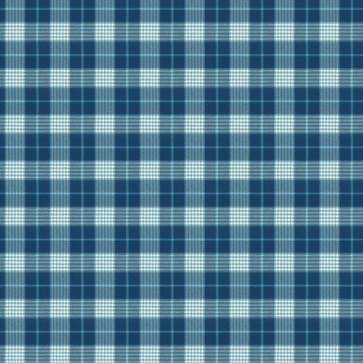 Pipestone 3 Blueberry by Stout Designer Fabric RAINBOW LIBRARY PORCELAIN/ROYAL 100%COT INDIA WYZENBEEK 30 000 DOUBLE RUB WEAR TEST (HEAVY DUTY) Horizontal: 4.625 and Vertical: 4.625 54 in - Swanky Fabrics -