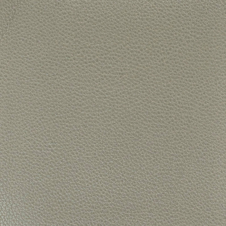 Pitcher 1 Graphite by Stout Fabric Stout Fabric Pitcher 1 GraphiteFabric LEATHER LOOKS IV 100%POL CHINA </p><p>Repeat: H: 0.000, V: 0.000 54 in - Fabric Carolina -