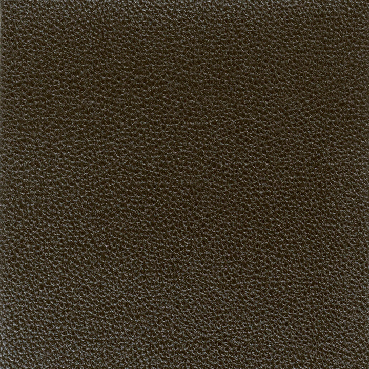 Pitcher 3 Onyx by Stout Fabric Stout Fabric Pitcher 3 OnyxFabric LEATHER LOOKS IV 100%POL CHINA </p><p>Repeat: H: 0.000, V: 0.000 54 in - Fabric Carolina -