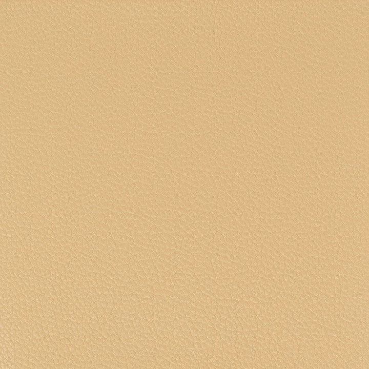 Pitcher 6 Camel by Stout Fabric Stout Fabric Pitcher 6 CamelFabric LEATHER LOOKS IV CHINA </p><p>Repeat: H: 0.000, V: 0.000 54 in - Fabric Carolina -