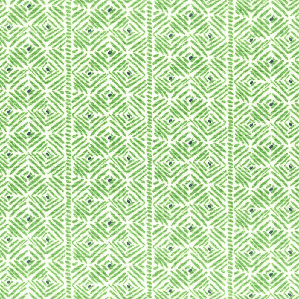 Pixie 2 Fern by Aoc Designer Fabric LA BELLA VITA 55%LIN 45%COT USA FLAME RETARDANT-U.F.A.C. CLASS 1 CATB 117-2013 PERFORMANCE RATED FABRIC WYZENBEEK 60 000 DOUBLE RUB WEAR TEST (HEAVY DUTY) Horizontal: 2.500 and Vertical: 1.250 54 in - Swanky Fabrics -
