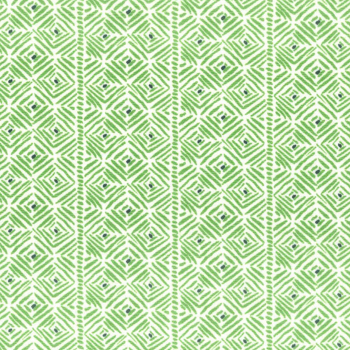 Pixie 2 Fern by Aoc Designer Fabric LA BELLA VITA 55%LIN 45%COT USA FLAME RETARDANT-U.F.A.C. CLASS 1 CATB 117-2013 PERFORMANCE RATED FABRIC WYZENBEEK 60 000 DOUBLE RUB WEAR TEST (HEAVY DUTY) Horizontal: 2.500 and Vertical: 1.250 54 in - Swanky Fabrics -
