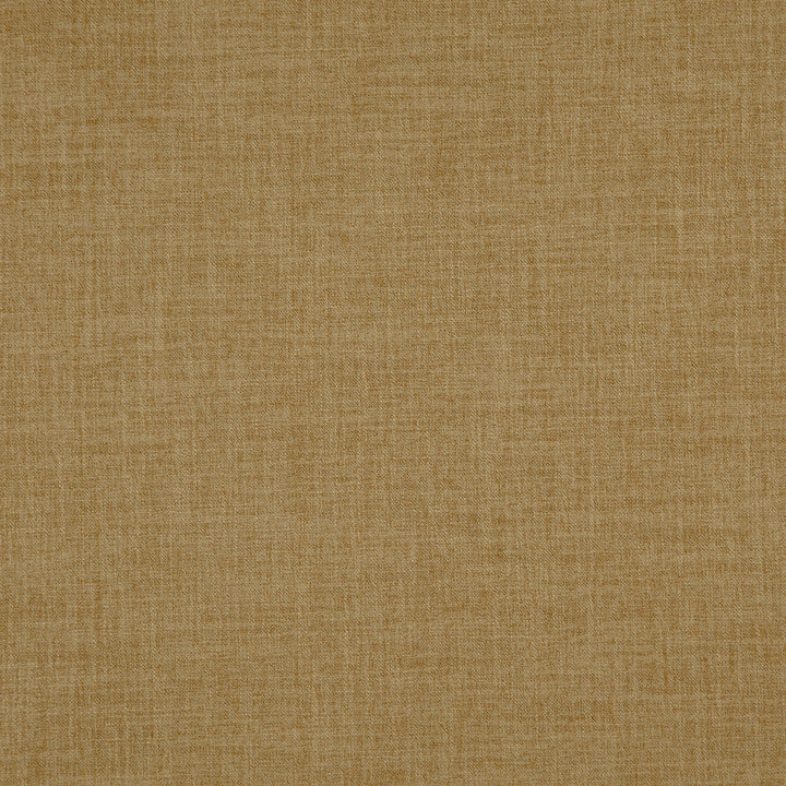 Player 17J8311 by JF Designer Fabric Everyday Player 100% Polyester India 200000 Horizontal: and Vertical: 54 - Swanky Fabrics -