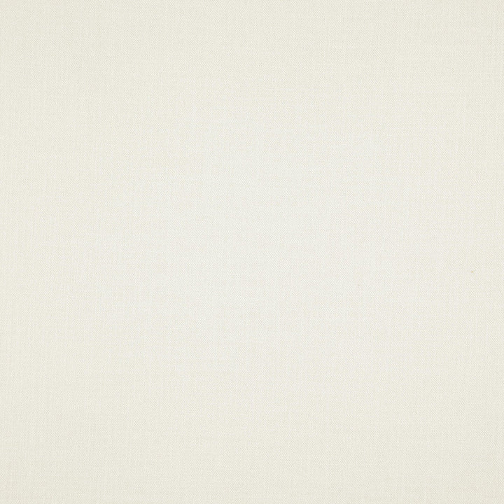 PLAYER 90J8311 by JF Designer Fabric Everyday Player 100% Polyester India  Horizontal:  and Vertical:  54  - Swanky Fabrics -