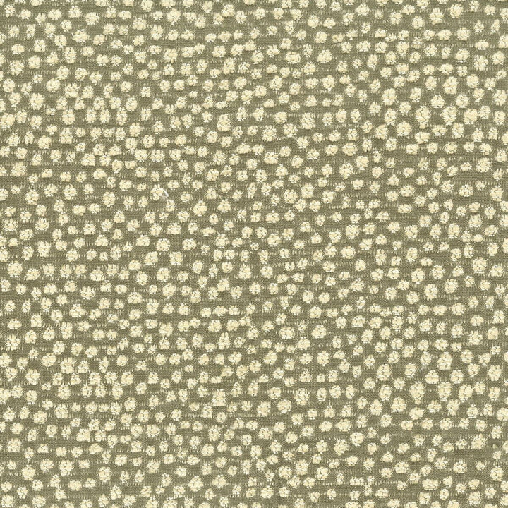 Polka 1 Grey by Stout Designer Fabric COMFORTABLE LIVING SHADOW/CHARCOAL 49%SVI 39%POL 12%COT CHINA FLAME RETARDANT-U.F.A.C. CLASS 1 CATB 117-2013 WYZENBEEK 36 000 DOUBLE RUB WEAR TEST (HEAVY DUTY) </p><p>Repeat: 0 55 in - Swanky Fabrics -