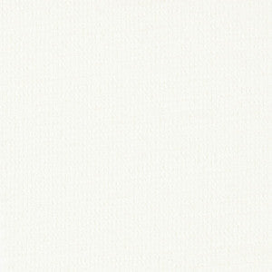 Stout Fabric Pompano 3 Ecru