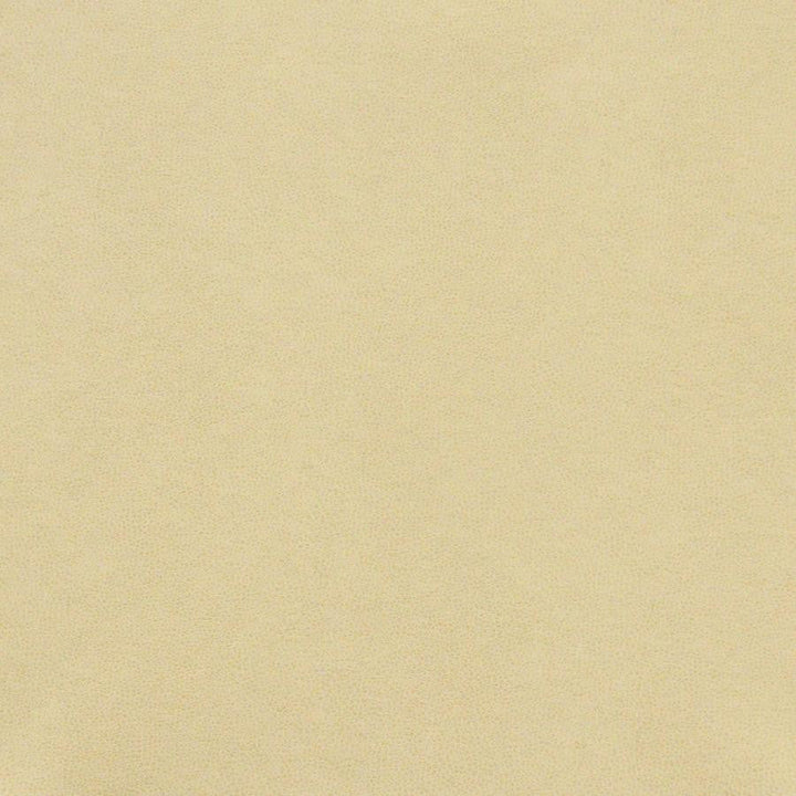 Pony Express # 011 Parchment by Maxwell Designer Fabric 100% POLYURETHANE CHINA 54" - Swanky Fabrics -