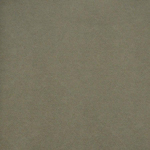Maxwell Fabric Pony Express # 5007 Flintstone