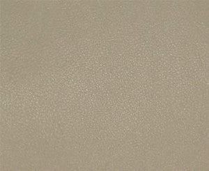 Maxwell Fabric Persuasion # 005 Bisque