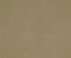Maxwell Fabric Persuasion # 022 Sand
