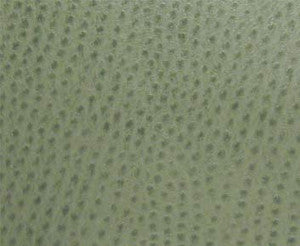 Maxwell Fabric Phoenix(Contract Vinyl) # 006 Drizzle