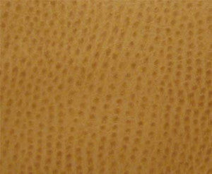 Maxwell Fabric Phoenix(Contract Vinyl) # 009 Ochre