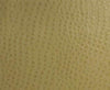 Maxwell Fabric Phoenix(Contract Vinyl) # 013 Willow