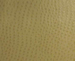 Maxwell Fabric Phoenix(Contract Vinyl) # 013 Willow