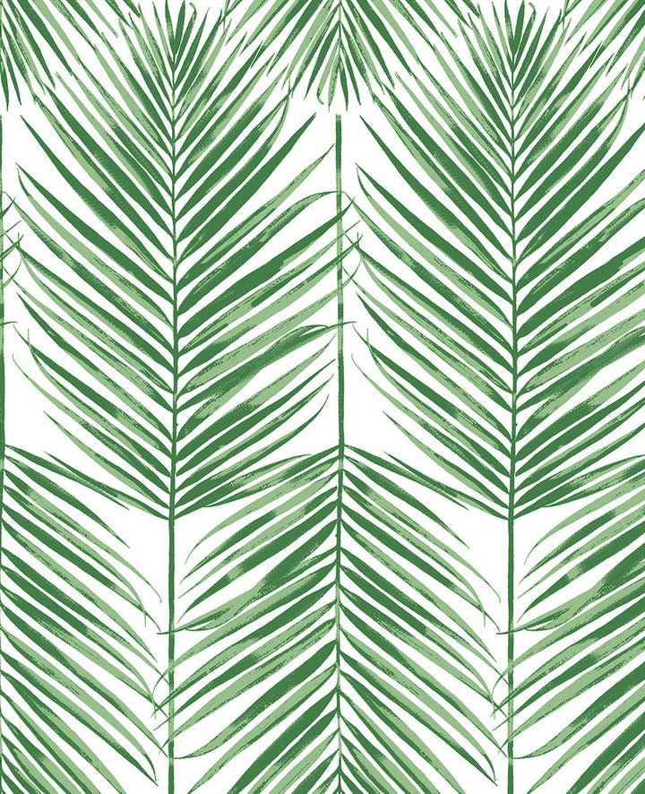 Paradise Palm Prepasted Greenery PR10704 by Seabrook Designs Designer Wallpaper
