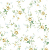 Seabrook Designs Wallpaper Meadow Floral Trail Wheatfield & Sage PR13303