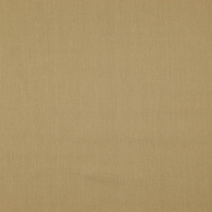PRAGUE 14J7511 by JF Designer Fabric Prague Book 100% Linen India  Horizontal:  and Vertical:  55  - Swanky Fabrics -