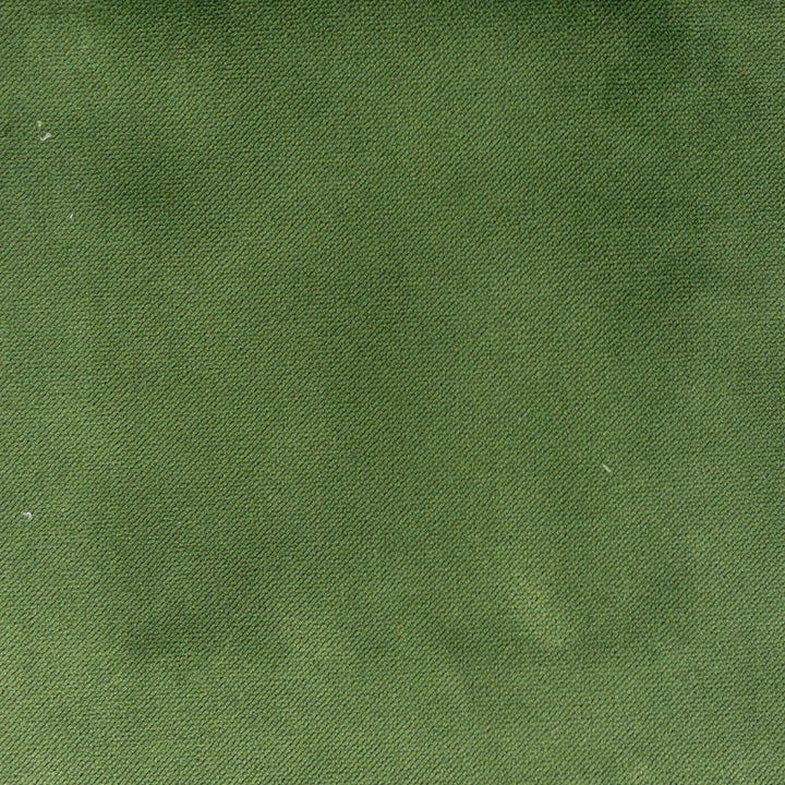 Premier 9 Grass by Stout Fabric Stout Fabric Premier 9 GrassFabric LIVING IS EASY SPRING/SPA 100%POL TURKEY </p><p>Repeat: H: 0.000, V: 0.000 54 in - Fabric Carolina -