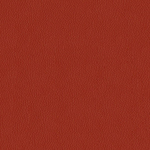 ABBEYSHEA Fabric Kendrick 14 Rust
