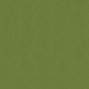 ABBEYSHEA Fabric Kendrick 205 Sprig