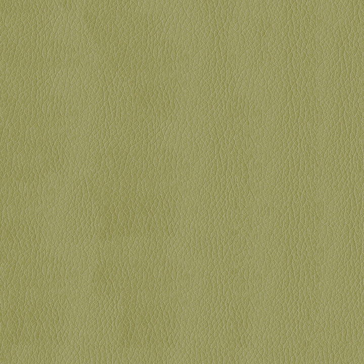 Kendrick 21 Meadow by ABBEYSHEA Designer Fabric 100% Polyurethane (PU) China 500,000 Double Rubs (Wyzenbeek) </p><p>Repeat: Horizontal: and Vertical: 54" (137 cm) - Swanky Fabrics -