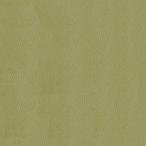 ABBEYSHEA Fabric Kendrick 21 Meadow
