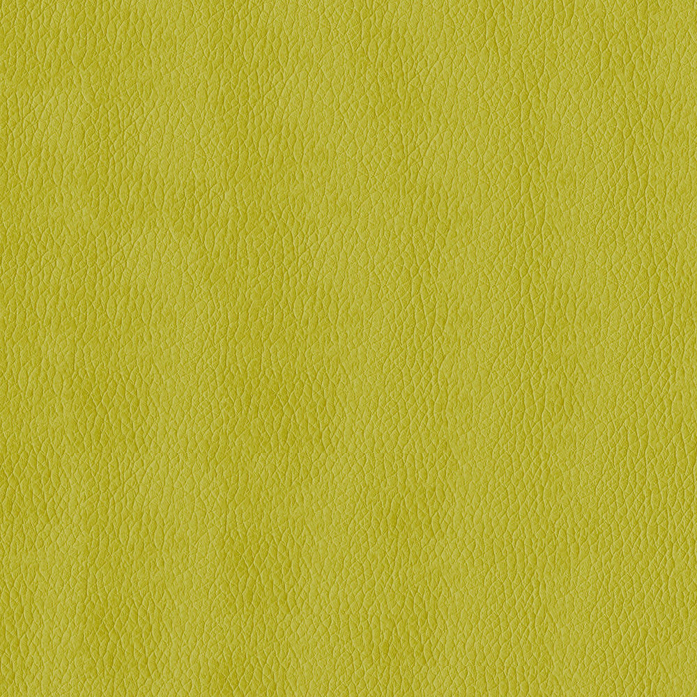 Kendrick 54 Citron by ABBEYSHEA Designer Fabric N/A 100% Polyester China 40,000 Double Rubs </p><p>Repeat: Horizontal: and Vertical: 54" (137 cm) - Swanky Fabrics -