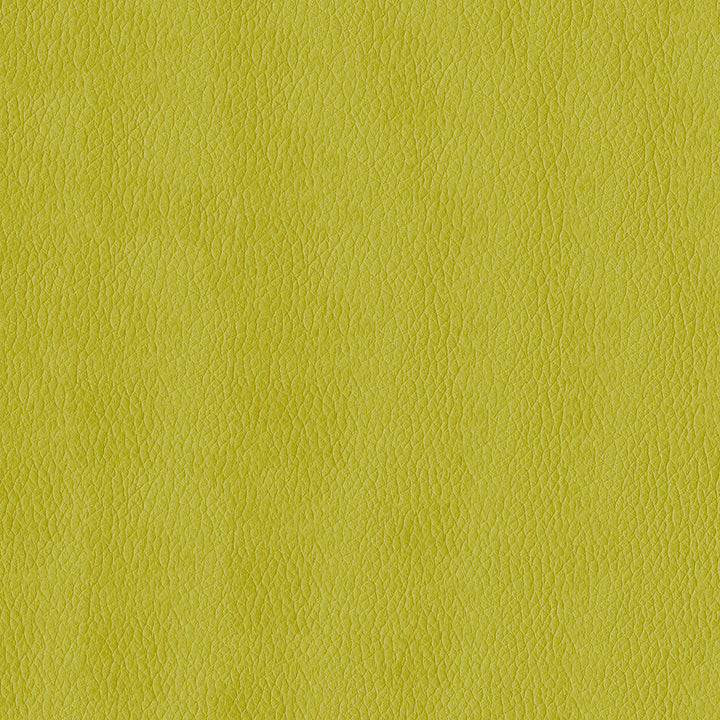Kendrick 54 Citron by ABBEYSHEA Designer Fabric N/A 100% Polyester China 40,000 Double Rubs </p><p>Repeat: Horizontal: and Vertical: 54" (137 cm) - Swanky Fabrics -
