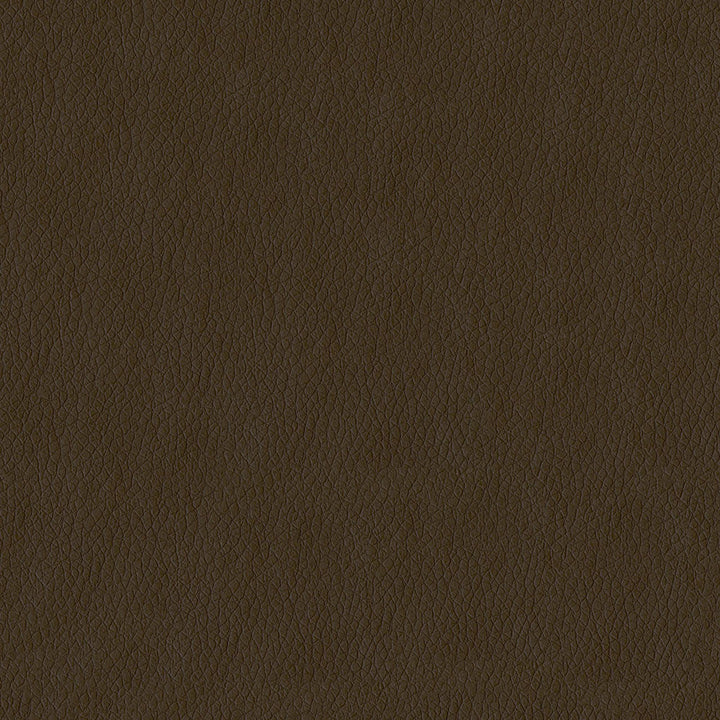 Kendrick 802 Tan by ABBEYSHEA Designer Fabric N/A 100% Polyester China 40,000 Double Rubs </p><p>Repeat: Horizontal: and Vertical: 54" (137 cm) - Swanky Fabrics -