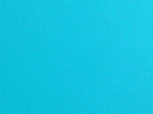 Primo Caribe 542 by Norbar Designer Fabric PRIMO 100% COTTON USA 56 - Swanky Fabrics -