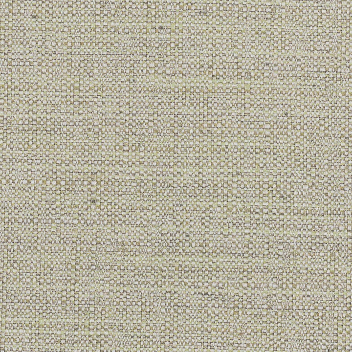 Privilege 6 Aloe by Stout Designer Fabric TEMPTATION II DRAPERY TEXTURES 83%POL 12%COT 5%SVI INDIA WYZENBEEK 50 000 DOUBLE RUB WEAR TEST (HEAVY DUTY) Horizontal: 0.000 and Vertical: 0.000 55 in - Swanky Fabrics -