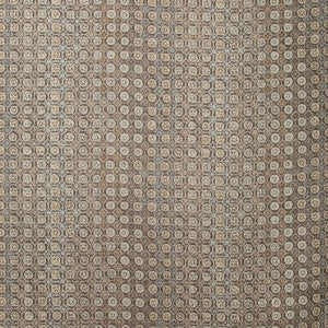 Kravet Fabric Procida Quartz