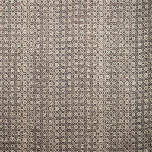 Kravet Fabric Procida Pewter