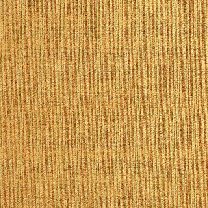 Protector 25J7081 by JF Designer Fabric Winning Weaves V Book 65% Polyester, 25% Cotton, 10% Viscose India 115000 Horizontal: and Vertical: 54 - Swanky Fabrics -